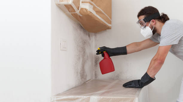 Professional Crawl Space Mold Removal technician working in Medford, MN