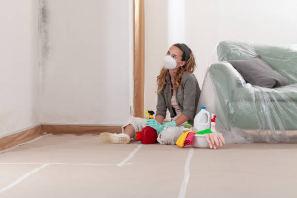 Reliable Crawl Space Mold Removal contractor in Medford, MN by WQB Mold Removal
